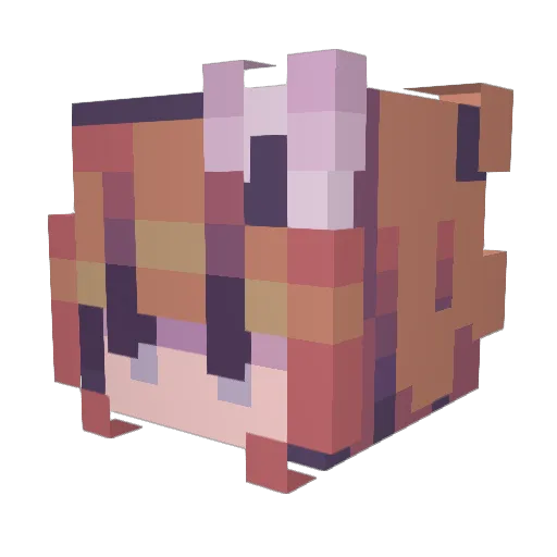 Fundein Minecraft avatar head, 3D render