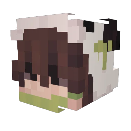 Fundumpyy Minecraft avatar head, 3D render