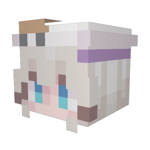 Funfetticakez Minecraft avatar head, 3D render