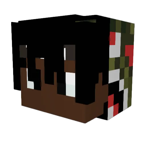 Funfinn2 Minecraft avatar head, 3D render