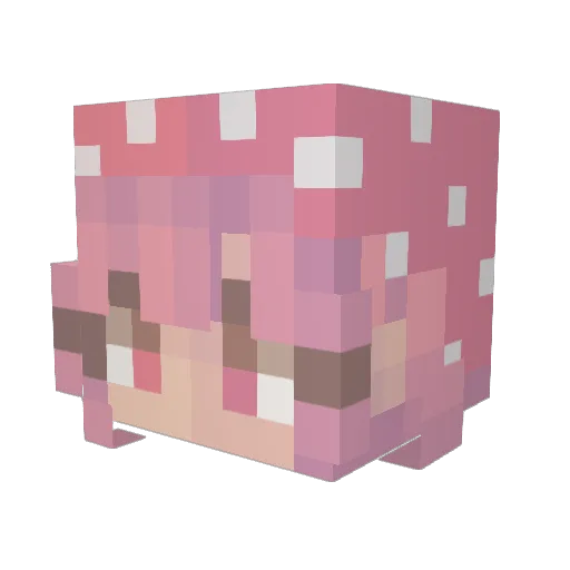 FungalFace Minecraft avatar head, 3D render