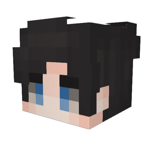 FungiFroggy Minecraft avatar head, 3D render