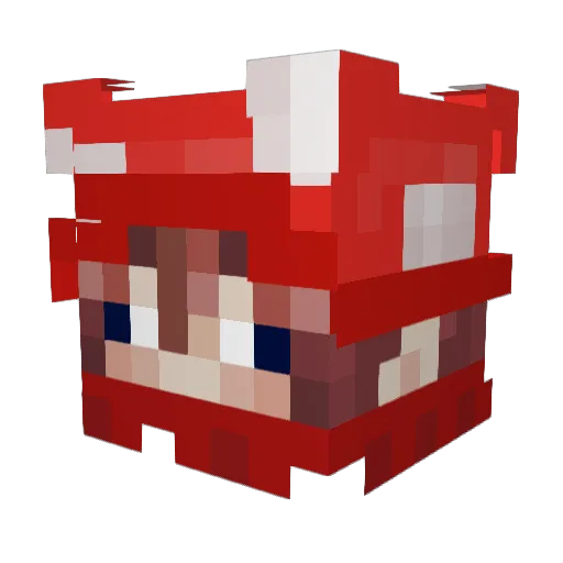 Fungiy7 Minecraft avatar head, 3D render