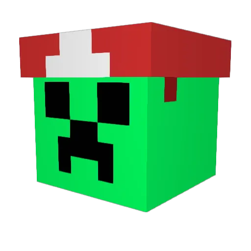 Funglesoft09 Minecraft avatar head, 3D render