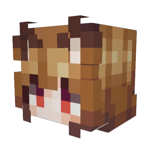 FungusFungiFung Minecraft avatar head, 3D render