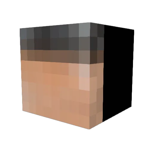 Fungus_collector Minecraft avatar head, 3D render