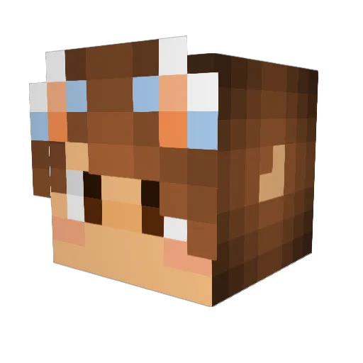 Funguy02 Minecraft avatar head, 3D render