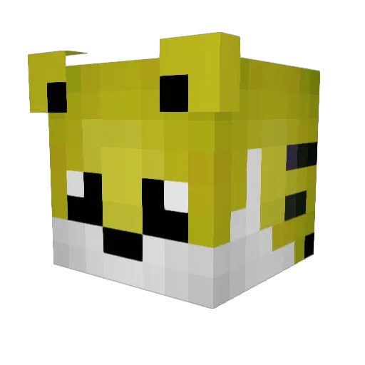 FunguyGaming Minecraft avatar head, 3D render
