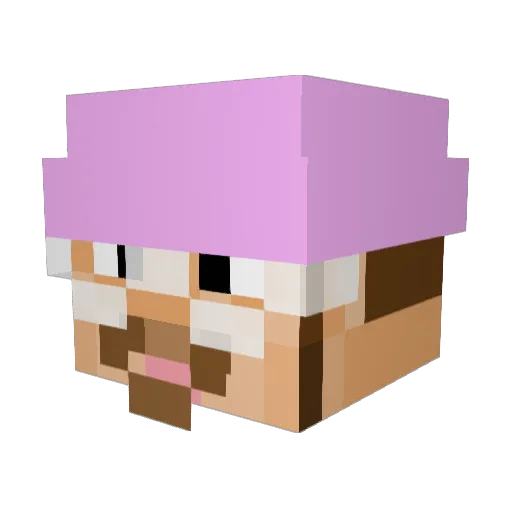 Funhater Minecraft avatar head, 3D render