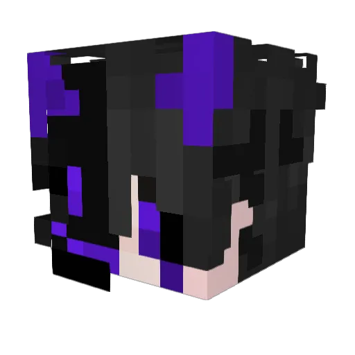 FunixNiBos Minecraft avatar head, 3D render