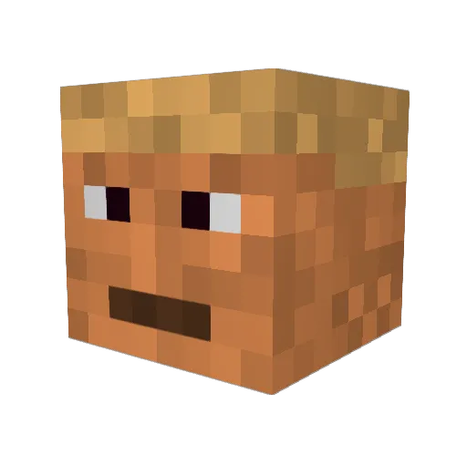 Funj0y Minecraft avatar head, 3D render