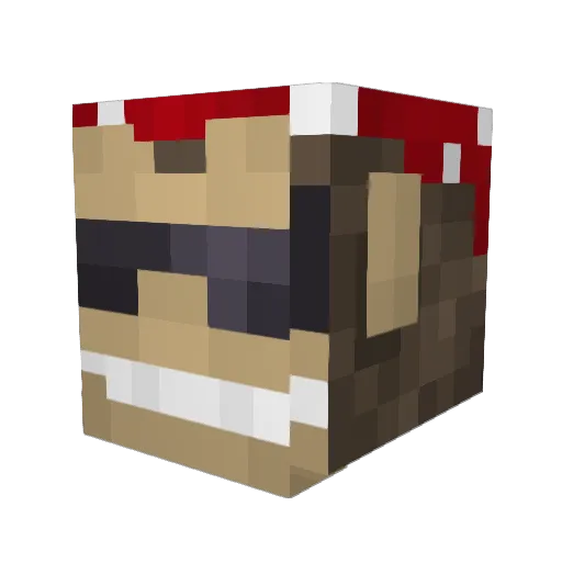 Funkapuss Minecraft avatar head, 3D render
