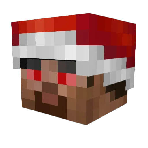 FunkeEntlein892 Minecraft avatar head, 3D render