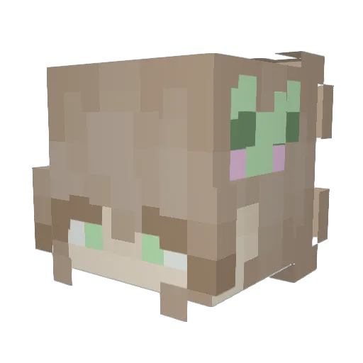 FunkeeFrog Minecraft avatar head, 3D render
