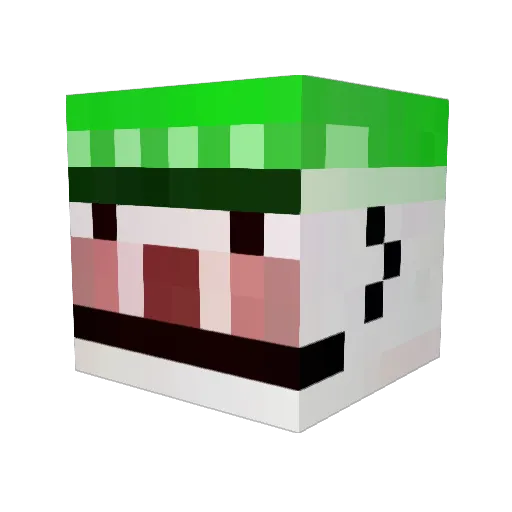FunkerBunker Minecraft avatar head, 3D render