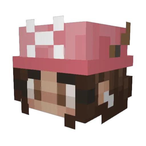 FunkeyMonkey1738 Minecraft avatar head, 3D render