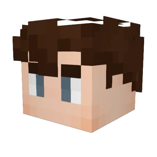 Funki2015 Minecraft avatar head, 3D render