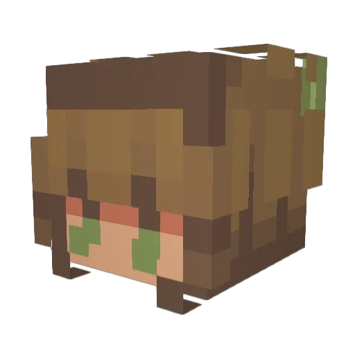 Funkiefant Minecraft avatar head, 3D render