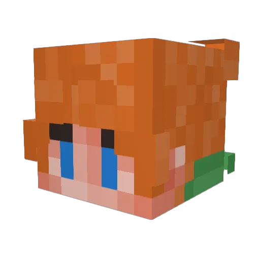Funkiestien Minecraft avatar head, 3D render