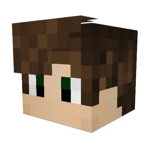 Funkn Minecraft avatar head, 3D render