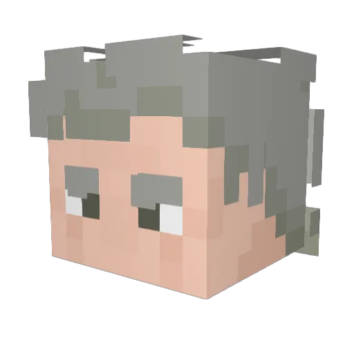 FunkoGamer Minecraft avatar head, 3D render