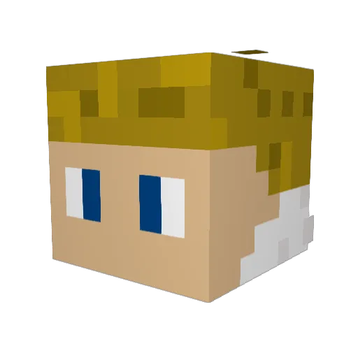 Funkwave Minecraft avatar head, 3D render