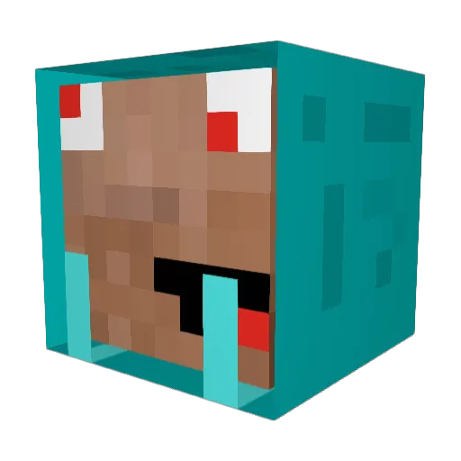 Funky008 Minecraft avatar head, 3D render