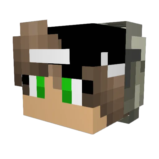 Funky370 Minecraft avatar head, 3D render