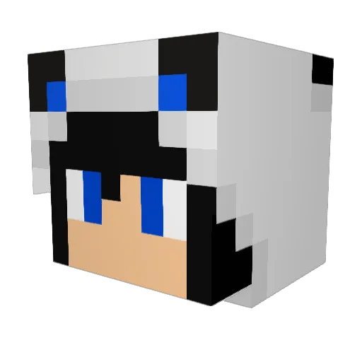 FunkyBuilder123 Minecraft avatar head, 3D render