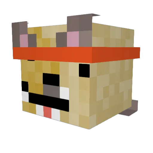 FunkyCreeperBomb Minecraft avatar head, 3D render
