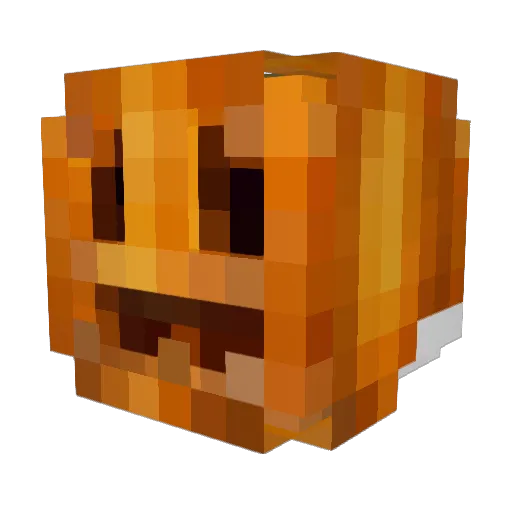 FunkyFreshFallon Minecraft avatar head, 3D render