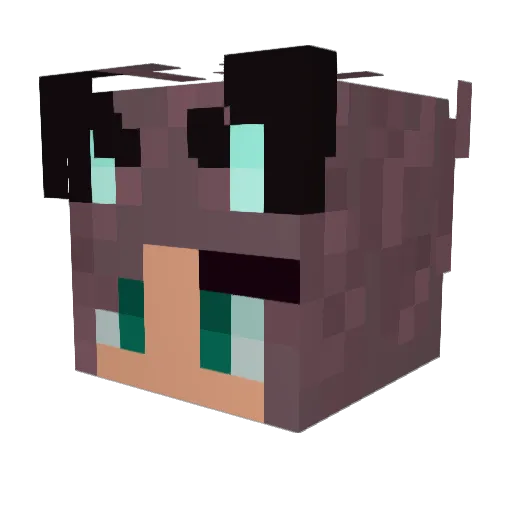 FunkyKitty32 Minecraft avatar head, 3D render