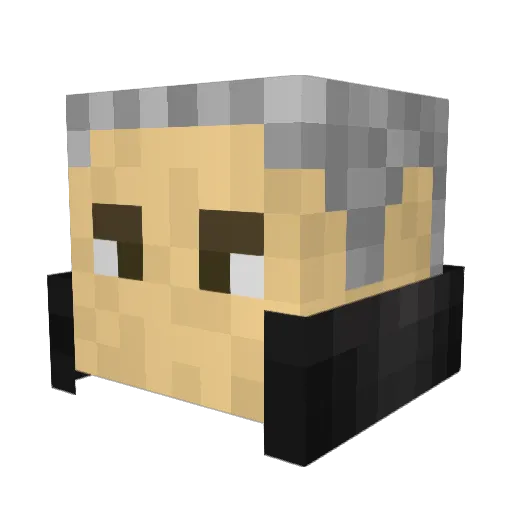FunkyKnox Minecraft avatar head, 3D render