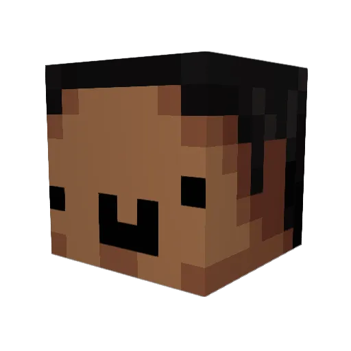 FunkyMonkyNoises Minecraft avatar head, 3D render