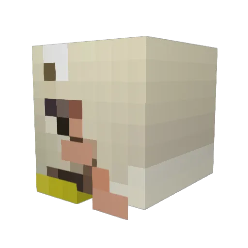 FunkyOnkey Minecraft avatar head, 3D render