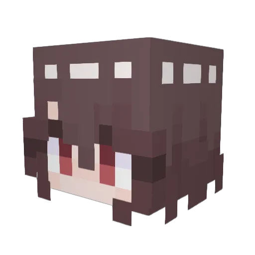 FunkyRoach Minecraft avatar head, 3D render