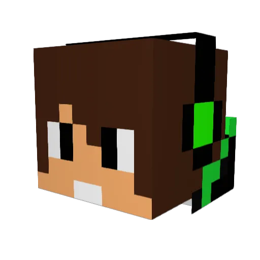 FunkyTurtle87 Minecraft avatar head, 3D render