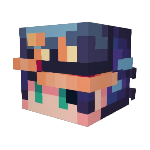 Funky_Chunky420 Minecraft avatar head, 3D render
