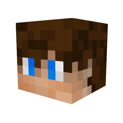 Funky_Fishy Minecraft avatar head, 3D render