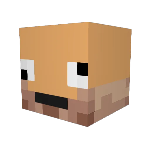 Funky_Walker Minecraft avatar head, 3D render