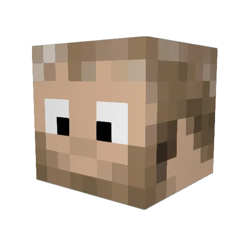 Funkyautism Minecraft avatar head, 3D render