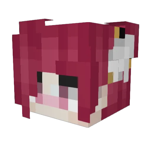 Funkyfish45 Minecraft avatar head, 3D render