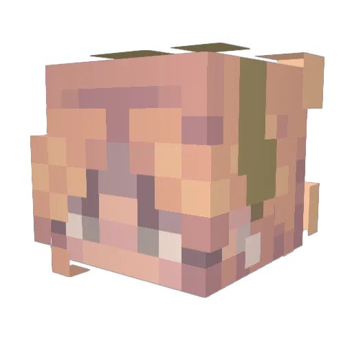 Funkyguts2526 Minecraft avatar head, 3D render