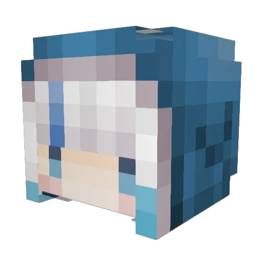 Funkyjazzwagon Minecraft avatar head, 3D render