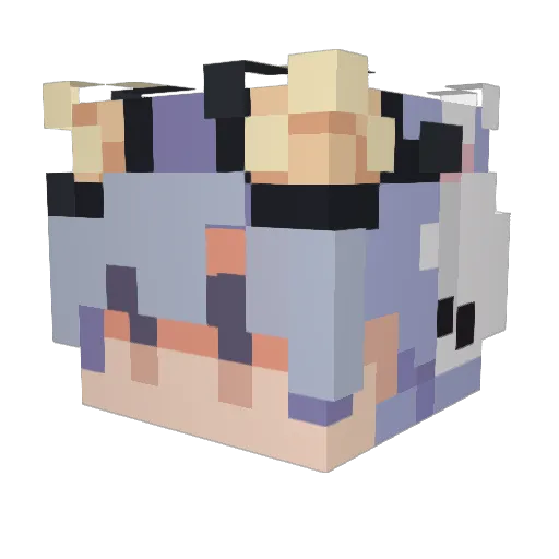 Funkyman72 Minecraft avatar head, 3D render