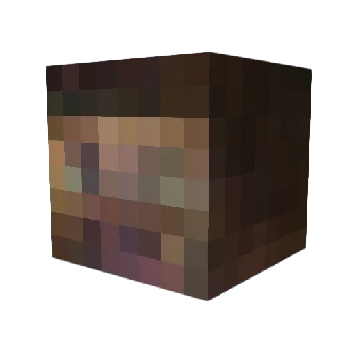 Funkymon01101011 Minecraft avatar head, 3D render