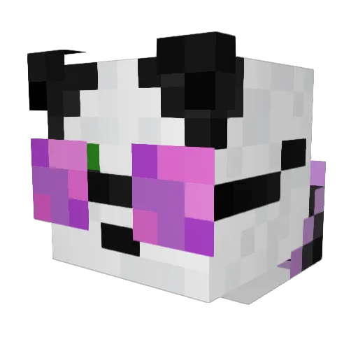 Funkypanda1203 Minecraft avatar head, 3D render