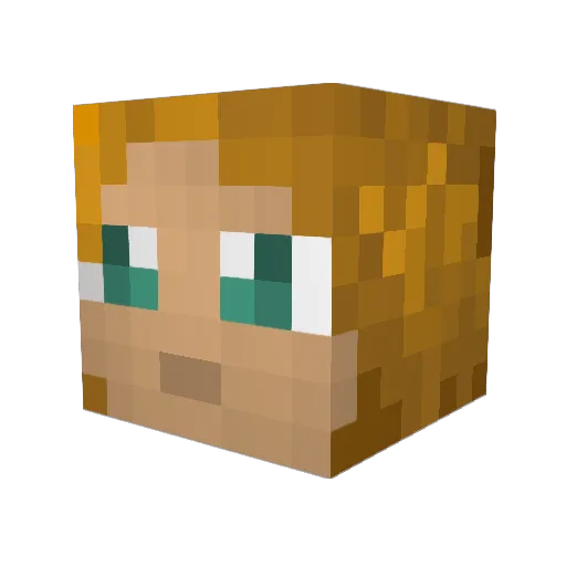 Funkyshunk Minecraft avatar head, 3D render