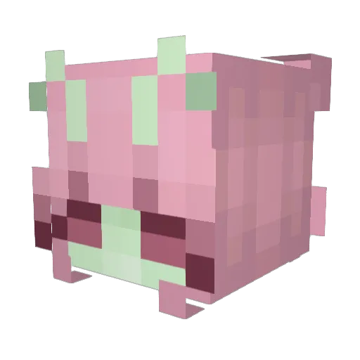 Funley545 Minecraft avatar head, 3D render