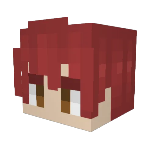Funman0 Minecraft avatar head, 3D render